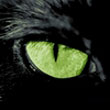 lunyow2012