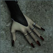 koster_12