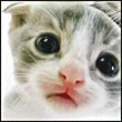 NaL