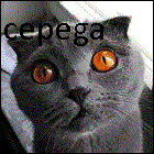cepega99